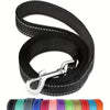 Nylon 5 Ft Dog Leash