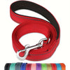 Nylon 5 Ft Dog Leash