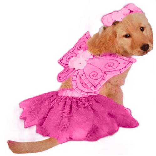 Sparkly Fairy Dog Costume- 3 Pack Zoe's Pet Shop Sparkly Fairy Dog Costume- 3 Pack Zoe's Pet Shop