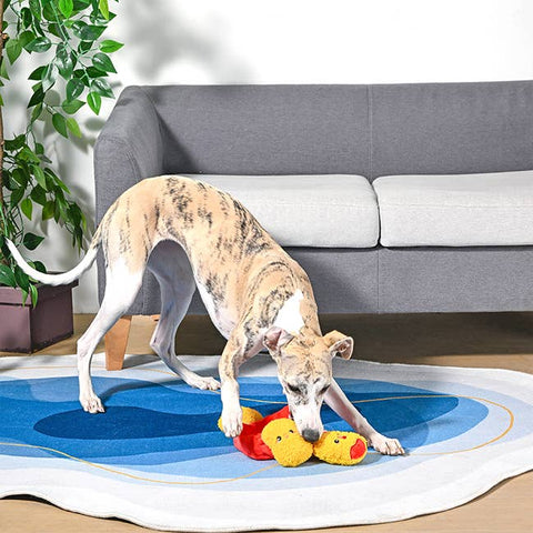 HugSmart Chicken Nuggets Interactive Dog Toy
