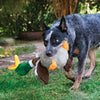 KONG Shakers Honkers Duck Small Dog Toy