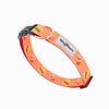 HugSmart Foodie Time Dog Collar, Harness, Leash