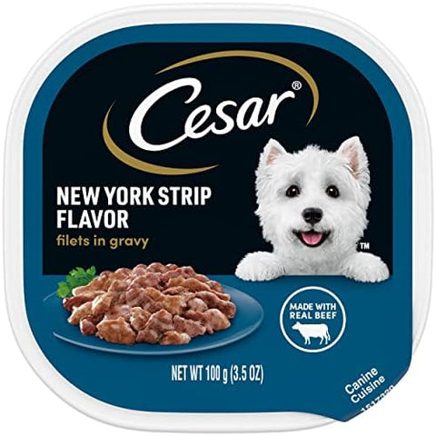 Cesar Variety Wet Dog Food