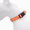 HugSmart Foodie Time Dog Collar, Harness, Leash
