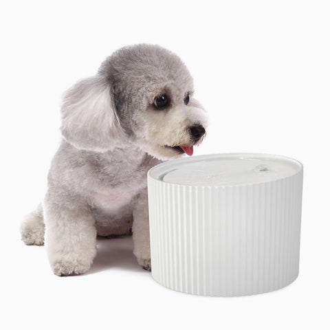 HugSmart Pet Water Fountain