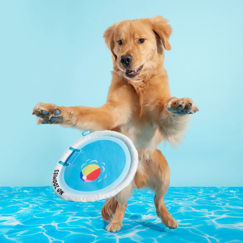 BARK Deep End Pool Disc Dog Toy