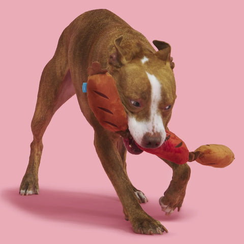BARK Lickin' Links Sausage Plush Dog Rope Toy