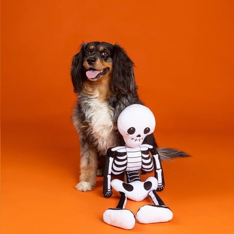 Bone to Be Wild 25" Large Skeleton Dog Toy