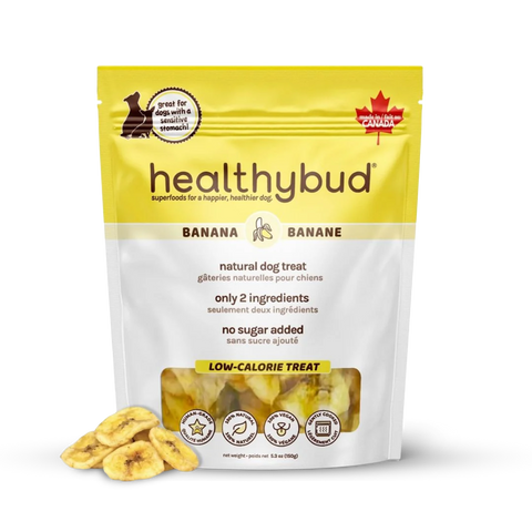 HealthyBud Banana & Coconut Oil Chips Dog Treat