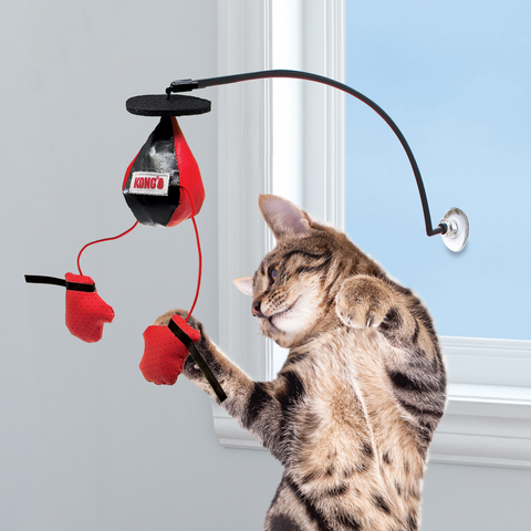 KONG Connects Window Boxing Cat Toy