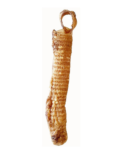 Lamb Trachea Dog Chew