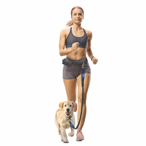 Nice Paws Hands Free Waist Bungee Leash and Poop Bag Set