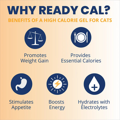 Under the Weather Ready Cal Plus w Electrolytes Squeezable for Cats