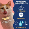 Under the Weather Ready Cal Plus w Electrolytes Squeezable for Cats