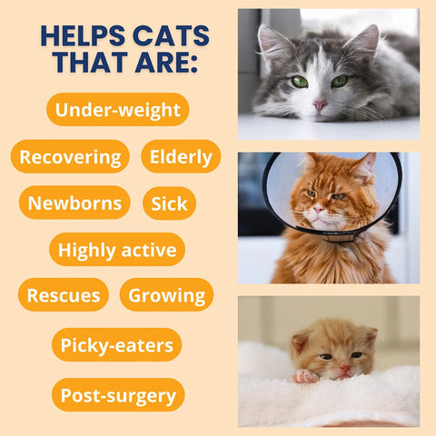Under the Weather Ready Cal Plus w Electrolytes Squeezable for Cats