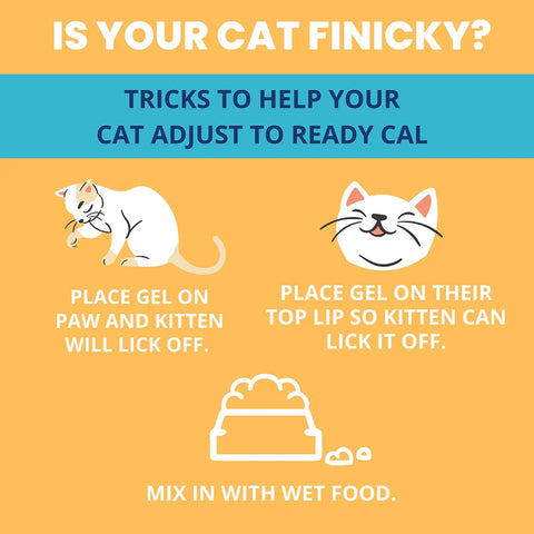 Under the Weather Ready Cal Plus w Electrolytes Squeezable for Cats