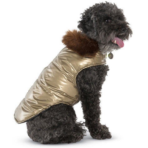 Up Country Gold Aspen Puffer Pet Coat