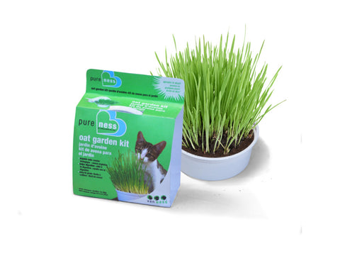 Van Ness Pureness Oat Cat Grass Garden Kit