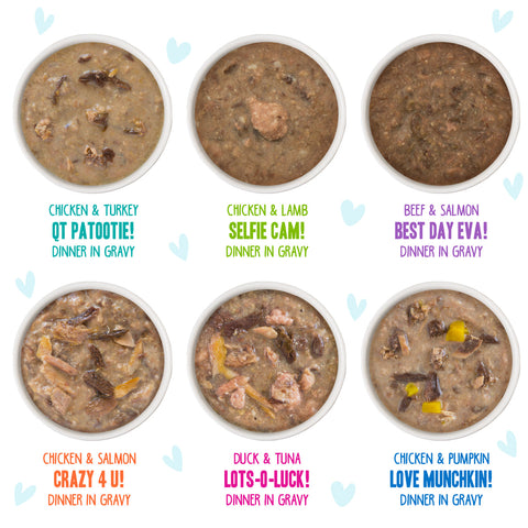 Weruva BFF OMG Gravy Rainbow Road Variety Pack Cat Food-  12 Cans