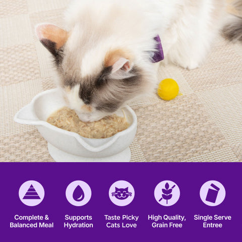 Wellness Appetizing Entrees Shredded Chicken Recipe Cat Food