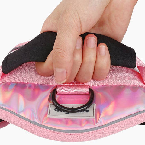 HugSmart Pet No Pull Angel Dog Harness