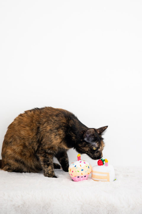 Birthday Cat Toy Set