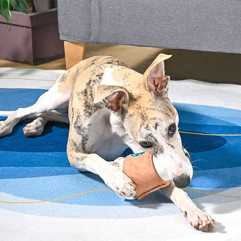 HugSmart Pet Coffee Hour Rubber Dog Toy