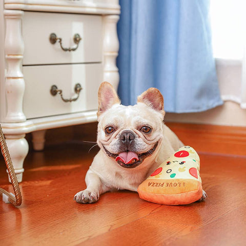 HugSmart Pizza Dog Plush Toy & Treat Dispenser