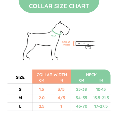 HugSmart Foodie Time Dog Collar, Harness, Leash