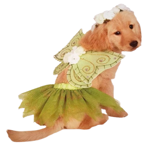 Sparkly Fairy Dog Costume- 3 Pack