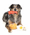 FuzzYard Breakfast Combo Dog Toy- 3 Pack