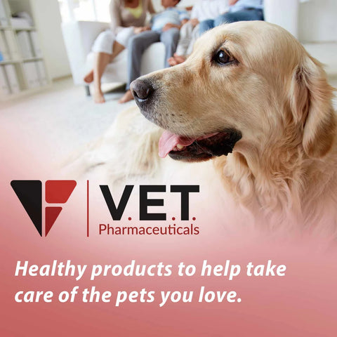 Liqui-Char Vet Activated Charcoal Gel for Pet Toxic or Poisoning