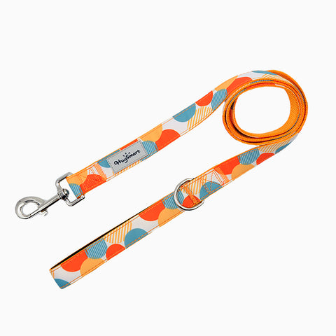 HugSmart Dancing Dots Dog Collar & Leash