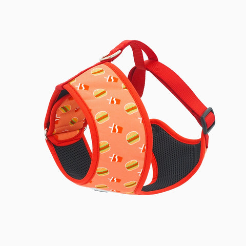 HugSmart Foodie Time Dog Collar, Harness, Leash
