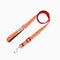 HugSmart Foodie Time Dog Collar, Harness, Leash