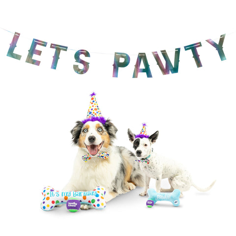 Let's Pawty Iridescent 4.5 Feet Celebration Pet Banner