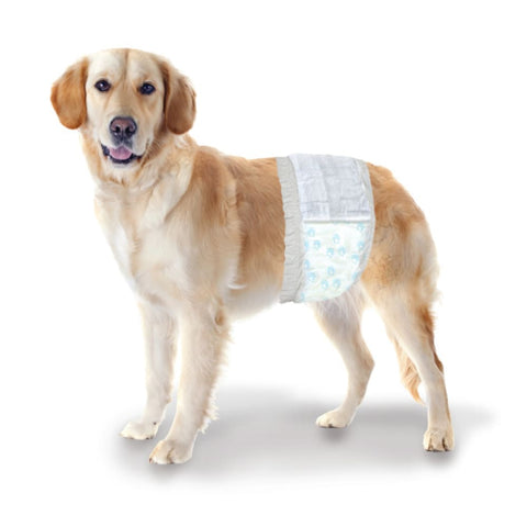 Four Paws Wee-Wee Disposable Male Dog Wraps Diapers