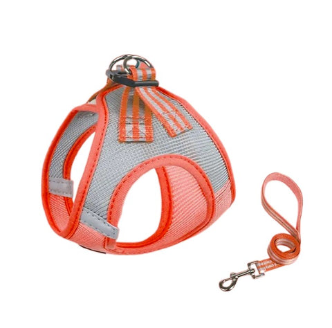 Neon Orange Harness & Leash