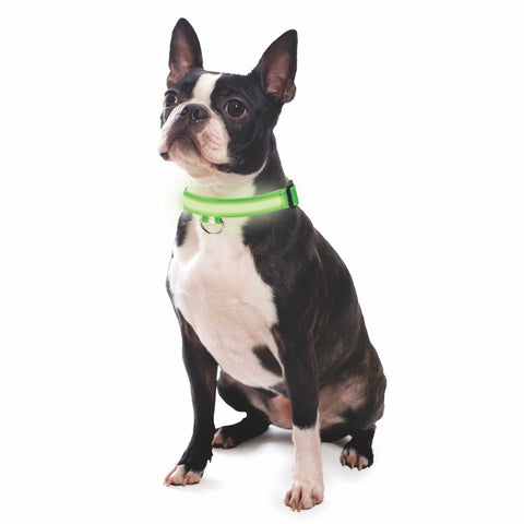 Nice Paws Rechargable LED Light Up Dog Collar