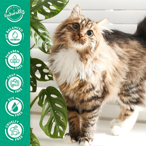 TropiClean Tearless Hypoallergenic Coconut Cat & Kitten Shampoo