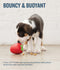 Planet Dog Orbee-Tuff Foodies 3" Strawberry Treat Dispensing Dog Toy