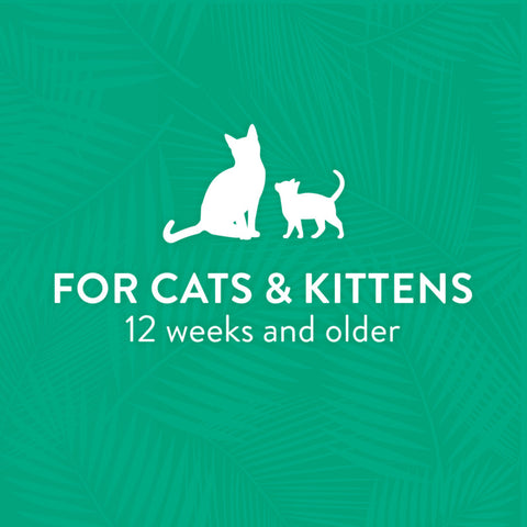 TropiClean Tearless Hypoallergenic Coconut Cat & Kitten Shampoo
