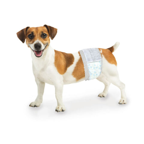 Four Paws Wee-Wee Disposable Male Dog Wraps Diapers