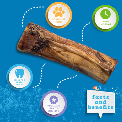 Jack & Pup 6" Marrow Bone