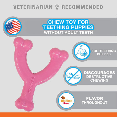 Nylabone Wishbone Puppy Chew Toy
