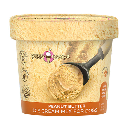 DIY Ice Cream for Dogs