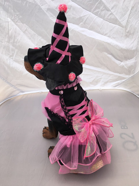 Pink Witch Costume with Hat