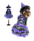 Purple Witch Costume with Hat